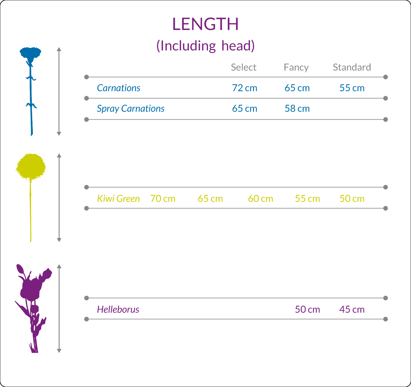 Flower length reference chart