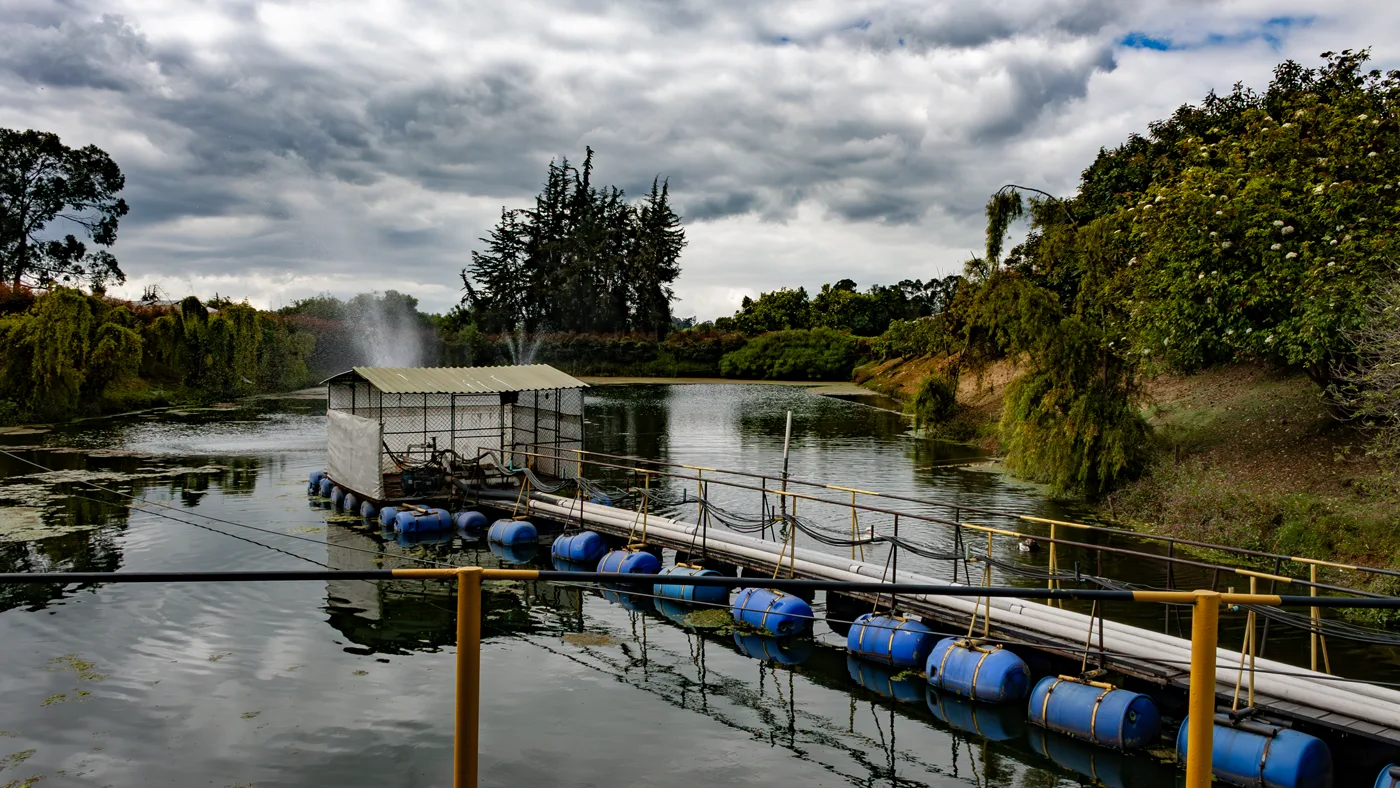 Arrayanes farm facilities