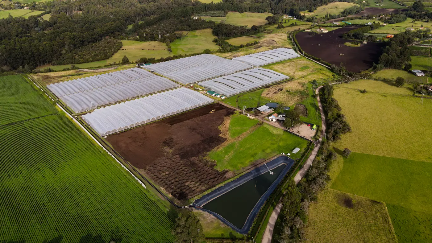 El Porvenir farm development area