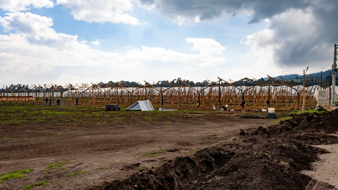 El Porvenir farm cultivation area