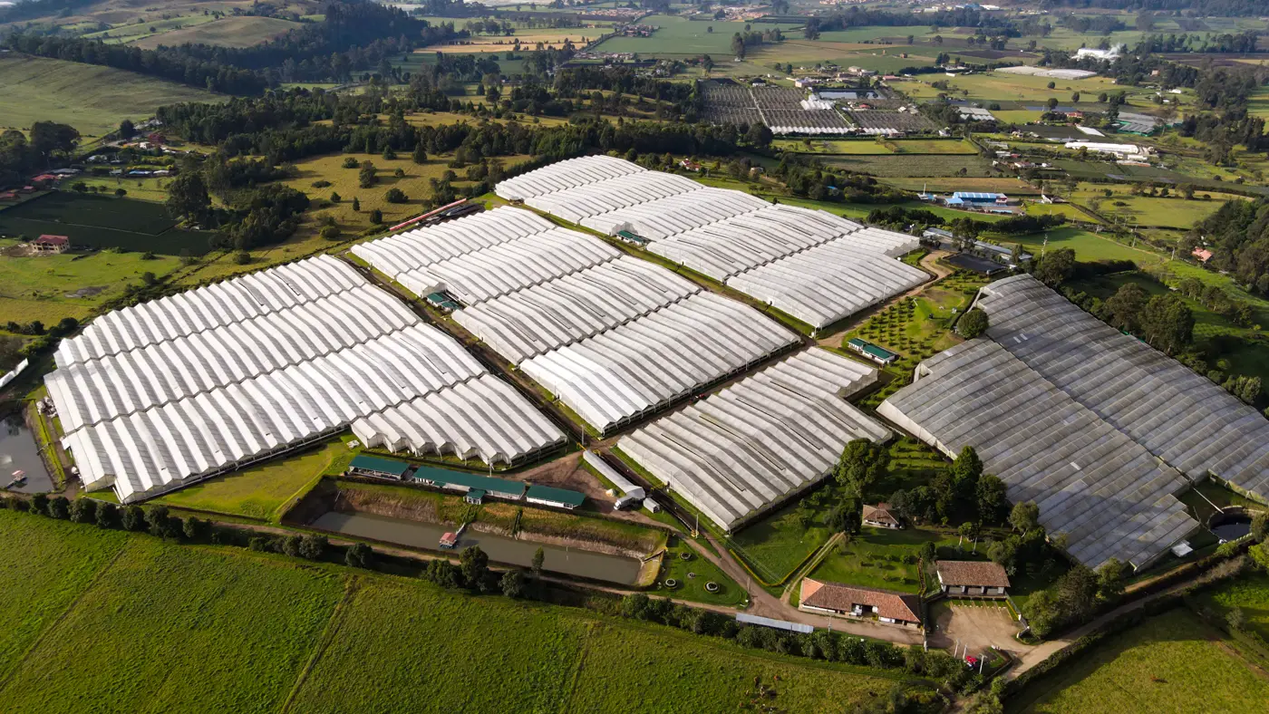 La Loma farm greenhouse