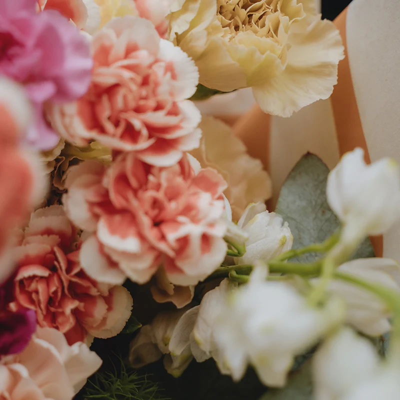 Carnations Spray Carnations