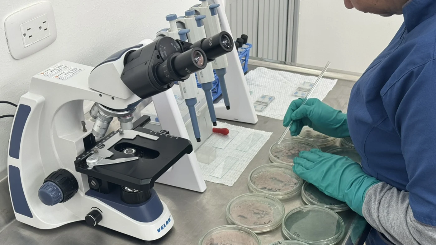 Crop monitoring for integrated pest management
