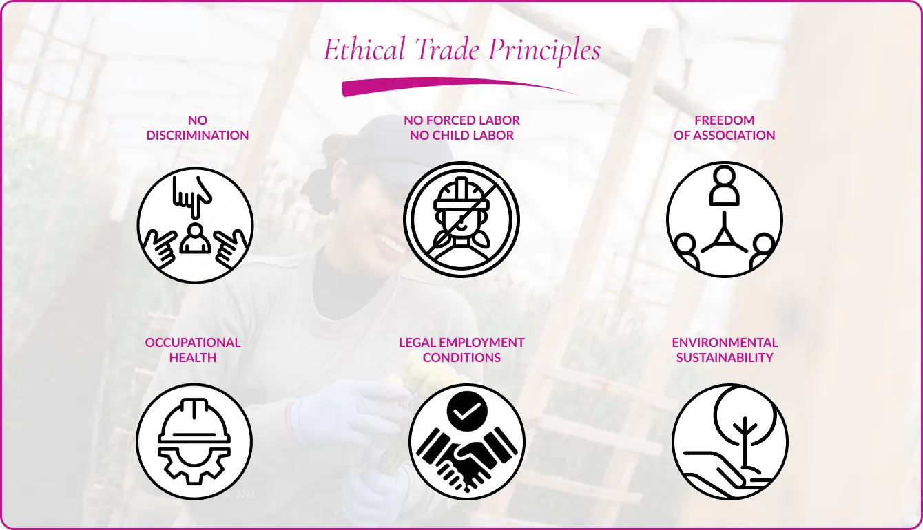 Ethical Trade Principles