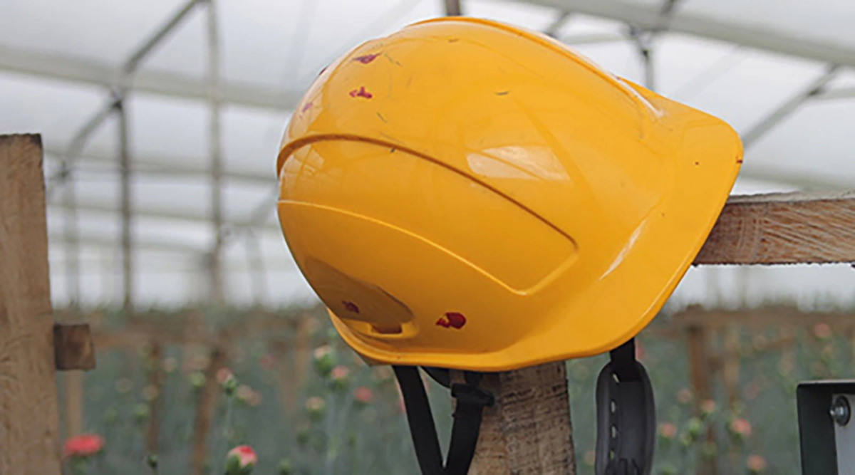 Occupational health and safety practices at Colibri Flowers